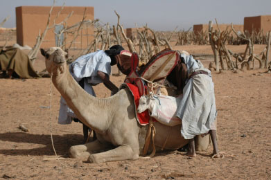 vita di villaggio (Mauritania)